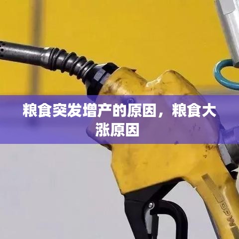 糧食突發(fā)增產的原因，糧食大漲原因 