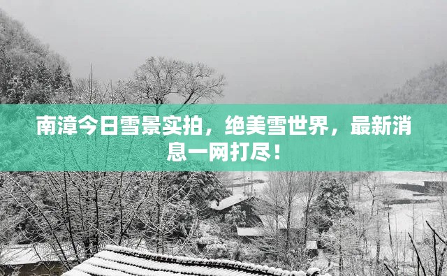 南漳今日雪景實拍，絕美雪世界，最新消息一網(wǎng)打盡！