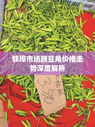 蚌埠市場豌豆角價(jià)格走勢(shì)深度解析