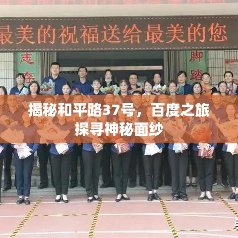 揭秘和平路37號，百度之旅探尋神秘面紗