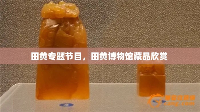 田黃專題節(jié)目，田黃博物館藏品欣賞 