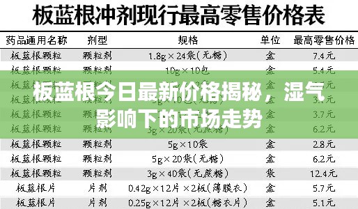 板藍根今日最新價格揭秘，濕氣影響下的市場走勢