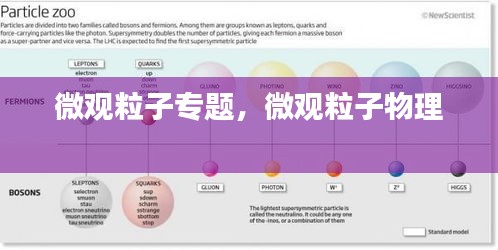 微觀粒子專題，微觀粒子物理 