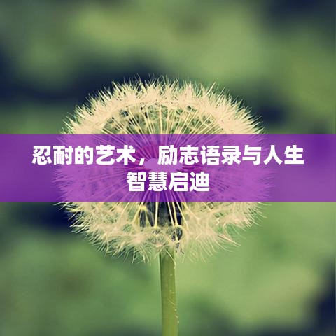 忍耐的藝術(shù)，勵志語錄與人生智慧啟迪