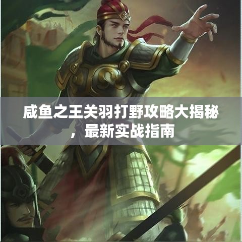 咸魚之王關羽打野攻略大揭秘，最新實戰(zhàn)指南