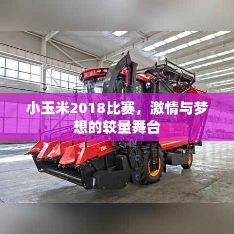 小玉米2018比賽，激情與夢想的較量舞臺
