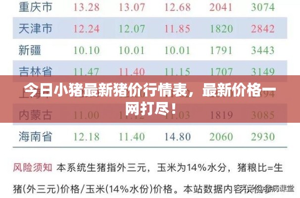 今日小豬最新豬價行情表，最新價格一網(wǎng)打盡！