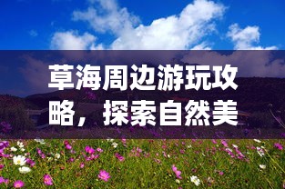 草海周邊游玩攻略，探索自然美景，盡享愜意之旅！