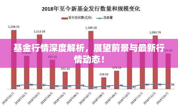 基金行情深度解析，展望前景與最新行情動態(tài)！