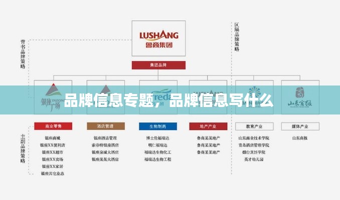 品牌信息專題，品牌信息寫什么 