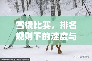 雪橇比賽，排名規(guī)則下的速度與激情角逐