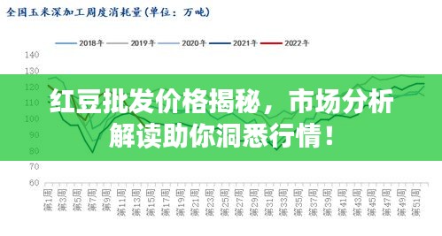 紅豆批發(fā)價(jià)格揭秘，市場(chǎng)分析解讀助你洞悉行情！