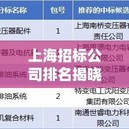 上海招標(biāo)公司排名揭曉，行業(yè)影響力大揭秘！