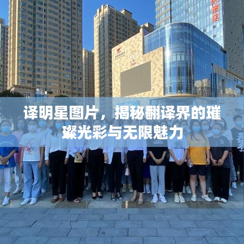 譯明星圖片，揭秘翻譯界的璀璨光彩與無限魅力