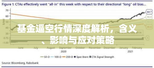基金逼空行情深度解析，含義、影響與應對策略