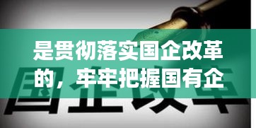是貫徹落實國企改革的，牢牢把握國有企業(yè)改革的正確方向 