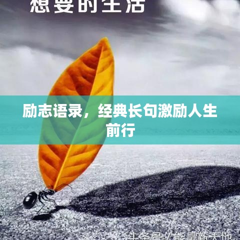 勵志語錄，經(jīng)典長句激勵人生前行
