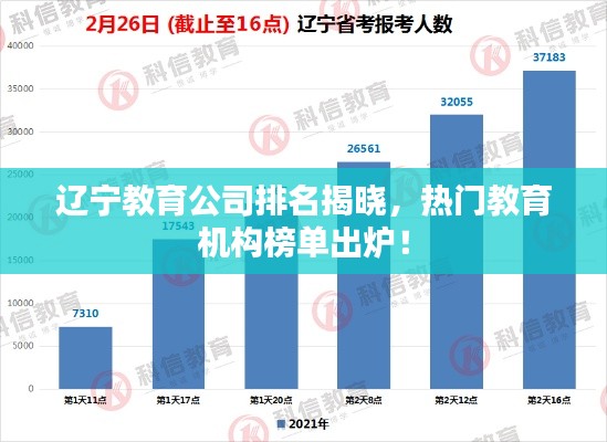 遼寧教育公司排名揭曉，熱門教育機構(gòu)榜單出爐！