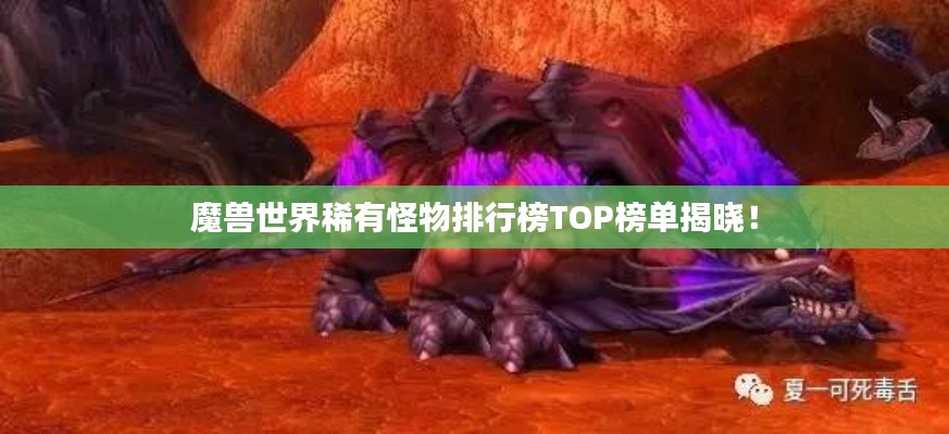 魔獸世界稀有怪物排行榜TOP榜單揭曉！