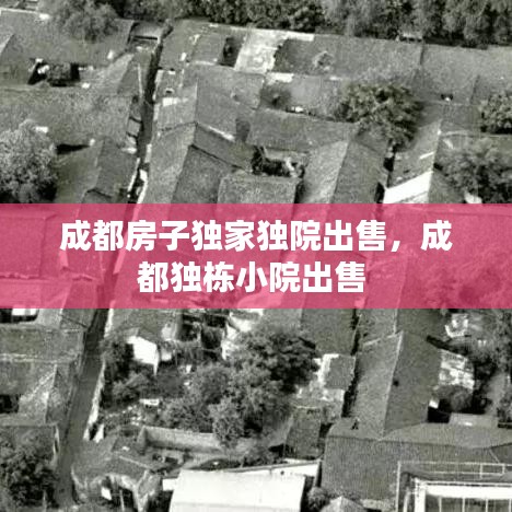 成都房子獨家獨院出售，成都獨棟小院出售 