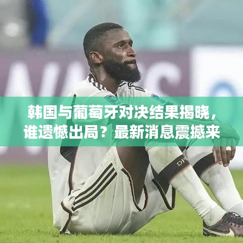 獨(dú)出新裁