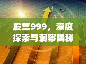 股票999，深度探索與洞察揭秘