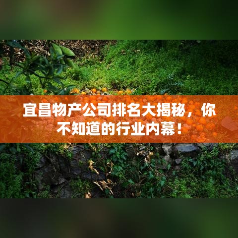 宜昌物產(chǎn)公司排名大揭秘，你不知道的行業(yè)內幕！