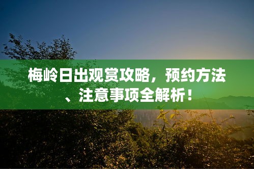 梅嶺日出觀賞攻略，預(yù)約方法、注意事項(xiàng)全解析！