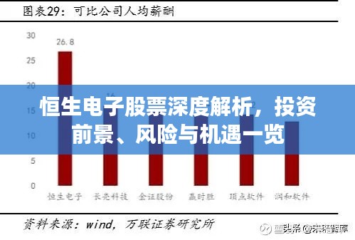 恒生電子股票深度解析，投資前景、風(fēng)險(xiǎn)與機(jī)遇一覽