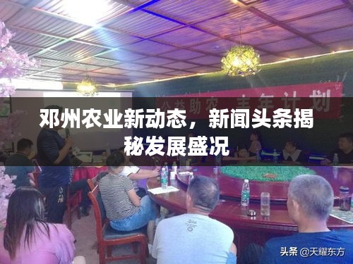 鄧州農業(yè)新動態(tài)，新聞頭條揭秘發(fā)展盛況