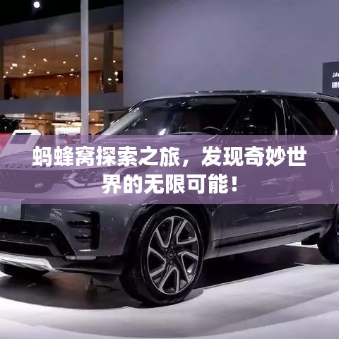 螞蜂窩探索之旅，發(fā)現(xiàn)奇妙世界的無限可能！