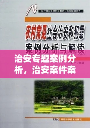 治安專題案例分析，治安案件案例 