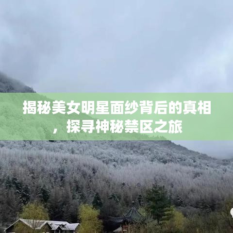 揭秘美女明星面紗背后的真相，探尋神秘禁區(qū)之旅