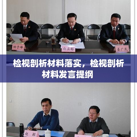 檢視剖析材料落實，檢視剖析材料發(fā)言提綱 