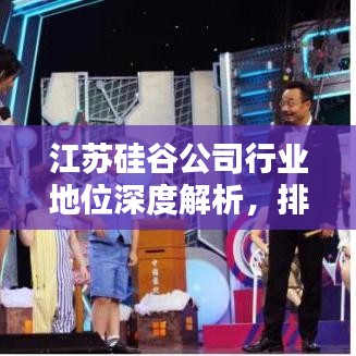 江蘇硅谷公司行業(yè)地位深度解析，排名前瞻
