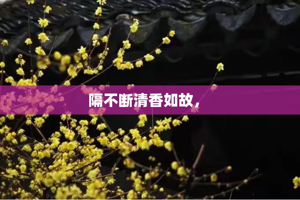 隔不斷清香如故， 