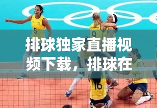 排球獨家直播視頻下載，排球在線直播免插件 