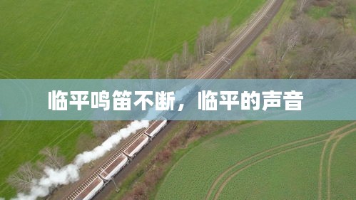 臨平鳴笛不斷，臨平的聲音 