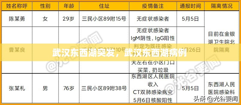 武漢東西湖突發(fā)，武漢東西湖病例 