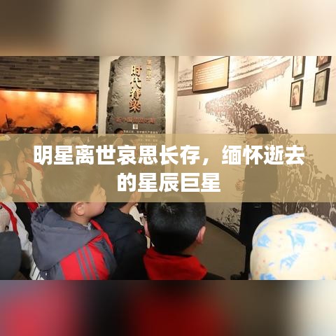 第14頁