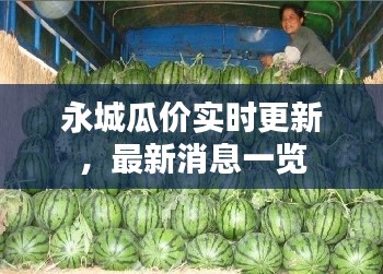 永城瓜價(jià)實(shí)時(shí)更新，最新消息一覽