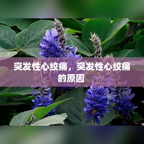 黑天摸地
