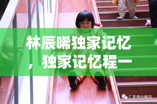 林辰唏獨(dú)家記憶，獨(dú)家記憶程一 