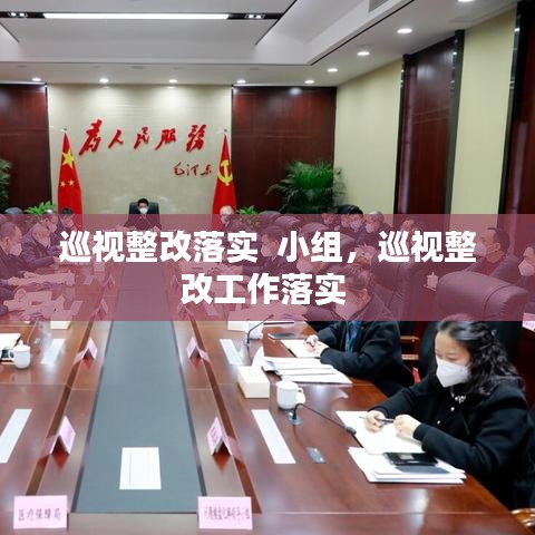 巡視整改落實  小組，巡視整改工作落實 
