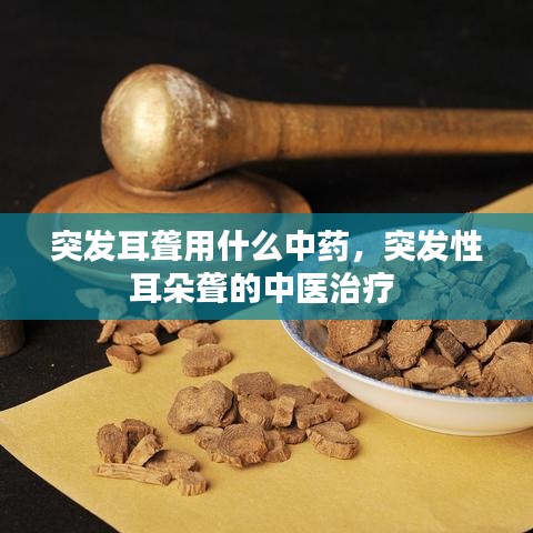 突發(fā)耳聾用什么中藥，突發(fā)性耳朵聾的中醫(yī)治療 