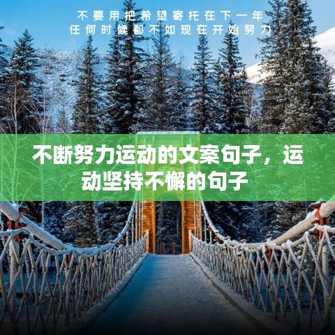 不斷努力運(yùn)動的文案句子，運(yùn)動堅持不懈的句子 