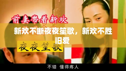 新歡不斷夜夜笙歌，新歡不勝舊愛(ài) 