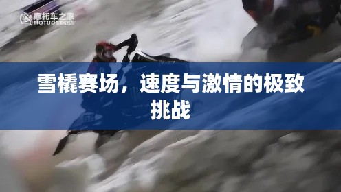 雪橇賽場，速度與激情的極致挑戰(zhàn)