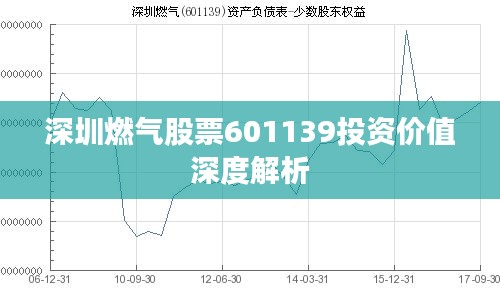 深圳燃?xì)夤善?01139投資價值深度解析