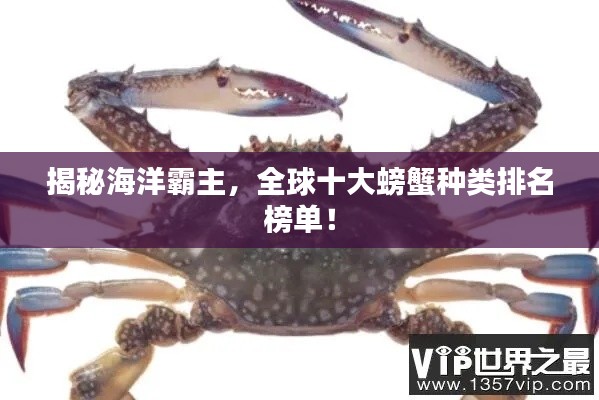 揭秘海洋霸主，全球十大螃蟹種類排名榜單！